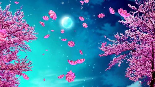 7月摩羯感情运势揭秘，是桃花朵朵开还是孤独守望？