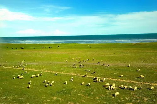 九月份青海湖旅游，如何规划一次完美的旅程？