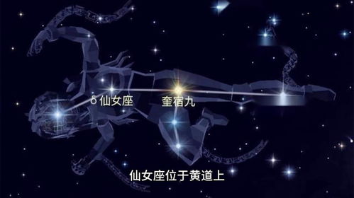 人是什么星座怎么查？揭秘星座查询的神秘面纱