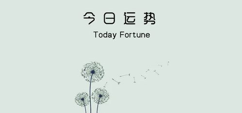 双负座今日运势，运势起伏不定，如何应对挑战？