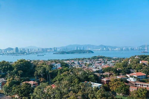 未成年必看厦门旅游攻略，揭秘这座海岛城市的青春足迹！