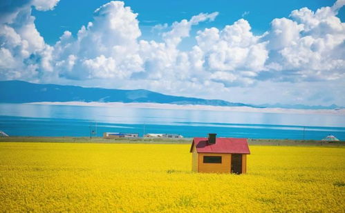 六月一号，青海湖旅游攻略，如何玩转湖光山色？