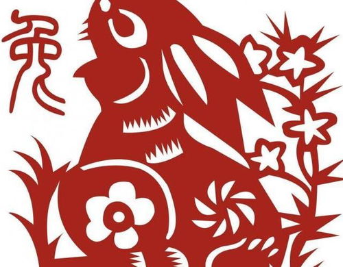 五月生肖兔感情运势，爱情甜蜜还是波折重重？