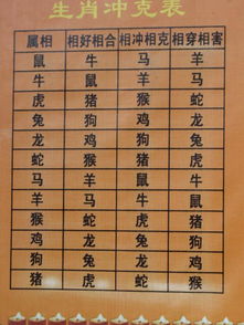 属鼠的与哪种八字最合婚？揭秘八字配对秘诀！