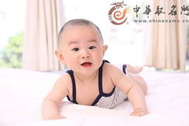 颜虎宝宝取名，究竟怎么样？