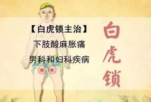 水瓶男虎近期复合运势，是重燃旧情还是各自安好？