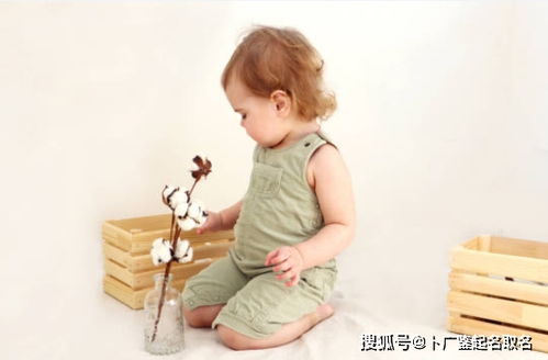 4月牛男宝宝取名，如何抓住春季的生机与活力？