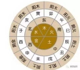 龙与鼠的八字合婚之谜，真的相合还是相冲？