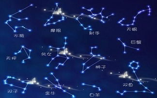 1月2号出生的人究竟属于哪个星座？揭秘神秘的天赋与性格！