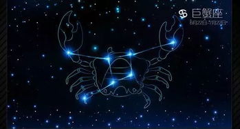 哪个星座拥有最深沉的哲学头脑？揭秘最有哲学头脑的星座之谜！