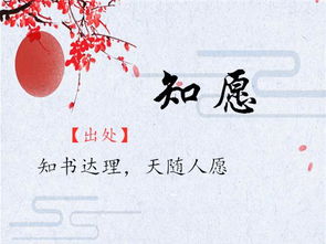 兔宝宝取名姓章，究竟该如何抉择？