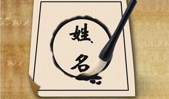 如何巧妙运用卞字，为宝宝取一个独特又吉祥的名字？