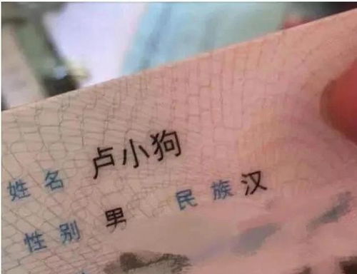 给宝宝取名邱字怎么取？全方位解析取名技巧！