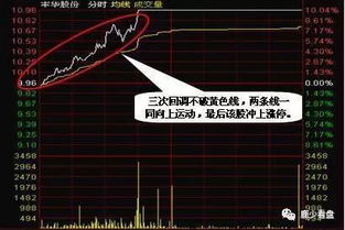 哪个星座炒股高手如云？揭秘股市中的星座奥秘！