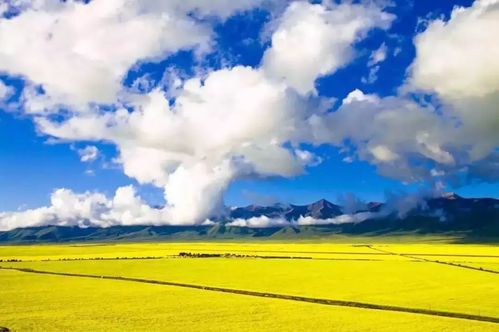 三月份青海省旅游攻略，揭秘高原春色，你准备好了吗？