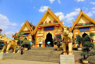 疑问解答厦门瑞丽酒店旅游攻略图,带你探索厦门的奢华之旅? 疑问解答厦门瑞丽酒店旅游攻略图,带你探索厦门的奢华之旅?