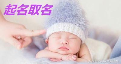 狗宝宝取名有何讲究？如何取一个既可爱又吉祥的名字？