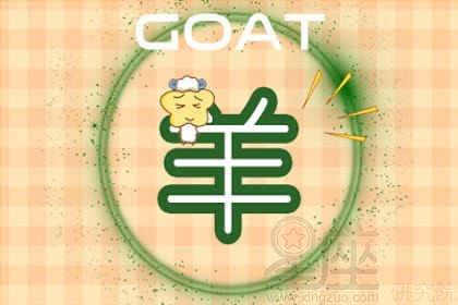 属羊女今年感情运势如何？揭秘爱情走向的五大关键点