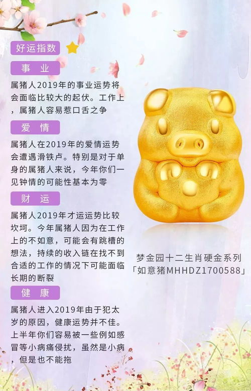 今日运势查询，白桃运势揭秘，你的运势如何？