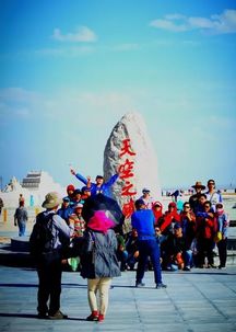 青海一日游，旅行团攻略揭秘，如何玩转黄金之旅？