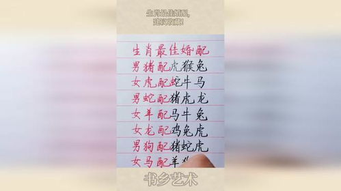 属相与八字，究竟如何判断婚配是否合拍？