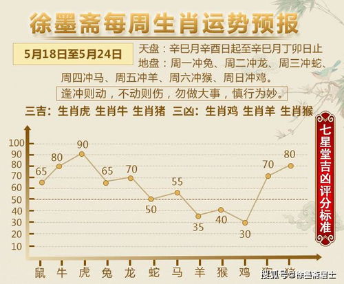 今日小满生肖运势图解，揭秘十二生肖今日运势之谜！