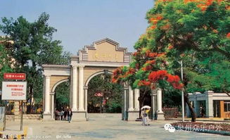 厦门大学旅游攻略，走进这座百年学府，探索海韵学府的绝美风光？