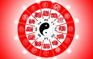 今日公司运势财运如何？揭秘运势背后的秘密！