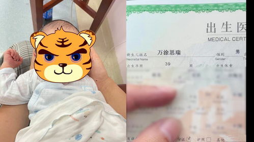 虎宝宝聂氏取名，究竟该如何巧妙构思？
