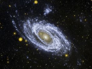 2008年12月15日出生的人究竟属于哪个星座？揭秘神秘面纱！