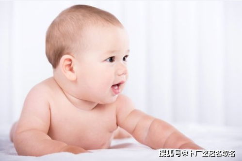 姓茹的宝宝，小名取什么好？这些创意名字你一定会喜欢！