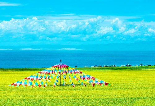 八月份青海之旅，哪些旅游景点不容错过？