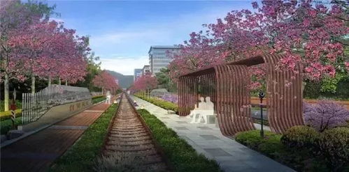 厦门友铭堂旅游攻略，如何玩转这座文化古韵与现代风情交融的城市？