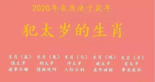 本命年，女性感情运势如何？揭秘生肖运势中的爱情奥秘