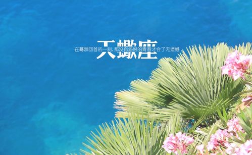 天蝎座的感情运势逆转？揭秘复合的最新动态！