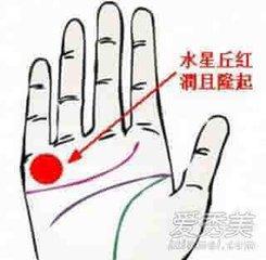 如何看手相？揭秘手相中的感情运势图解之谜