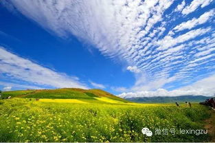 探秘青海，一日游攻略，带你领略高原风光的无限魅力？