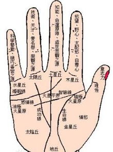 射手男近期运势揭秘，感情线有何新动向？