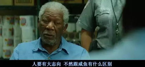 那些看着舒服的老电影，你看过几部？