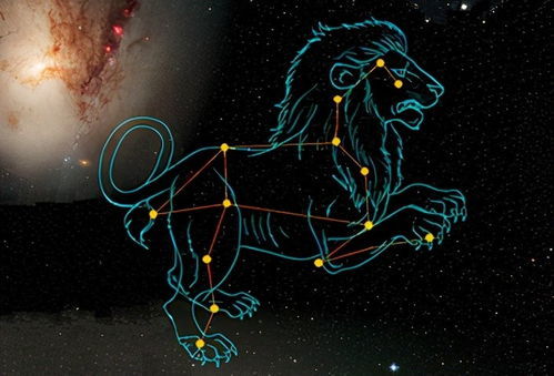 太阳狮子座和月亮狮子座如何区分？揭秘神秘的双子星座之谜