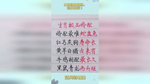 合婚排八字算命看日子，究竟准不准？揭秘传统婚配文化的魅力与争议