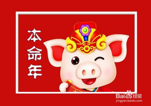 金猪人今日运势，揭秘猪年出生者的今日运势走向，你准备好了吗？