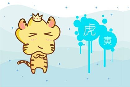 两虎人八字合不合婚姻，能否携手共度一生？