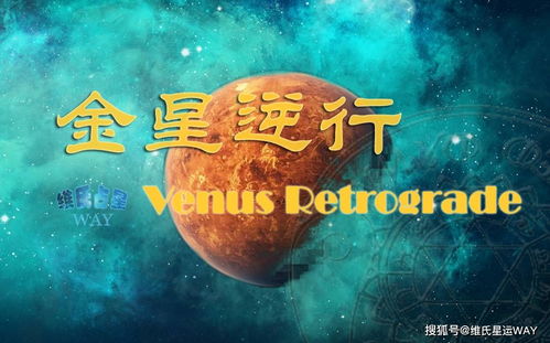 狮子座2022年1月运势揭秘，运势起伏，如何稳中求胜？