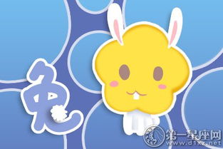 属兔女今日感情运势揭秘，甜蜜还是波折？