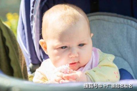 于姓取名兔宝宝，究竟该如何取？