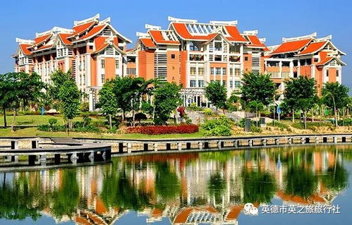 厦门双园之旅，攻略详解与美图赏鉴，你准备好了吗？