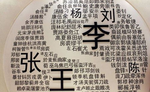 孙氏女宝宝取名难题，如何取一个既传统又个性的名字？