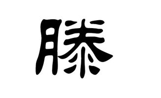 虎宝宝取名董姓，有哪些好听的取名建议？