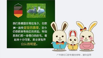 兔宝宝取名姓胡，该如何取一个既吉祥又独特的好名字？